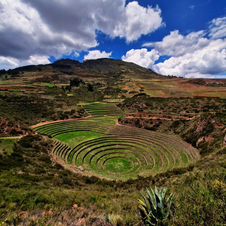 Moray