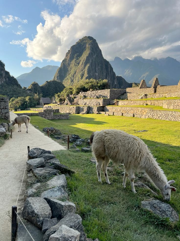 montaña machu picchu vs huayna picchu